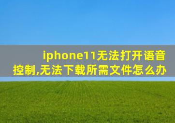 iphone11无法打开语音控制,无法下载所需文件怎么办