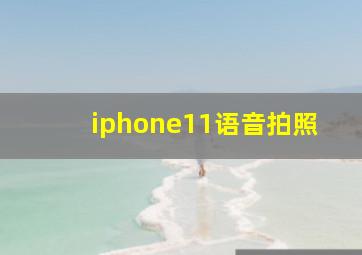 iphone11语音拍照