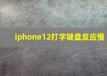 iphone12打字键盘反应慢