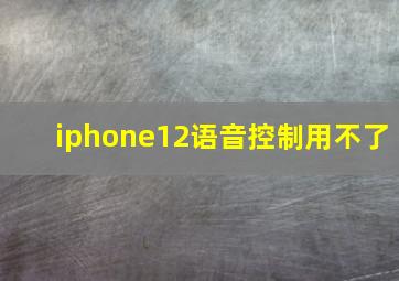 iphone12语音控制用不了