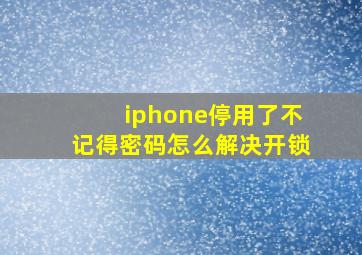 iphone停用了不记得密码怎么解决开锁