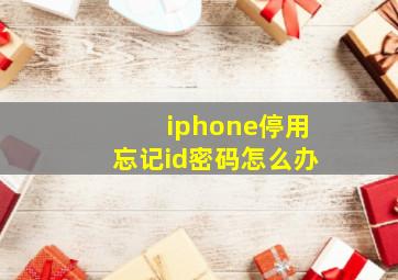 iphone停用忘记id密码怎么办