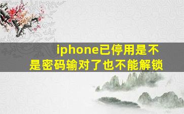 iphone已停用是不是密码输对了也不能解锁