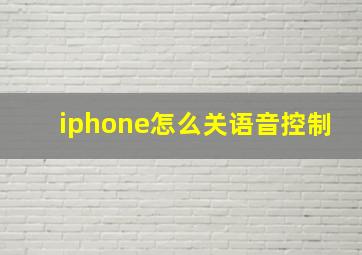 iphone怎么关语音控制