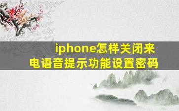 iphone怎样关闭来电语音提示功能设置密码