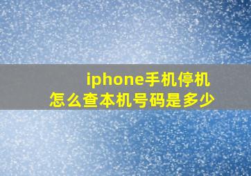 iphone手机停机怎么查本机号码是多少