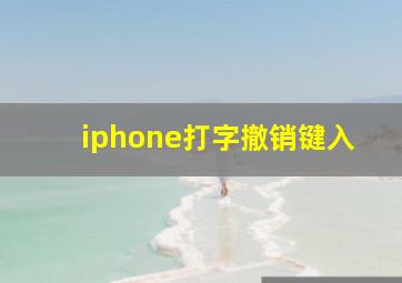 iphone打字撤销键入