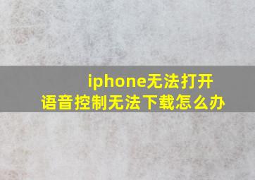 iphone无法打开语音控制无法下载怎么办