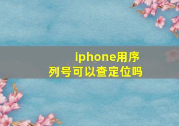 iphone用序列号可以查定位吗