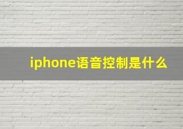 iphone语音控制是什么