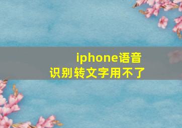 iphone语音识别转文字用不了