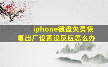 iphone键盘失灵恢复出厂设置没反应怎么办