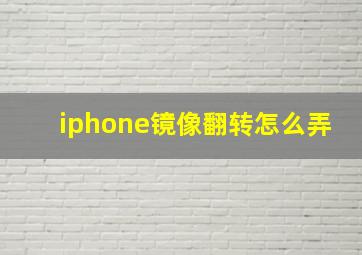 iphone镜像翻转怎么弄