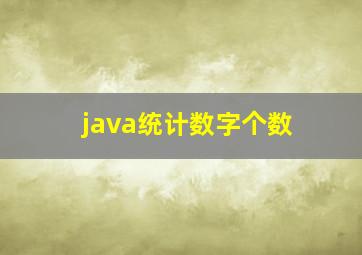 java统计数字个数