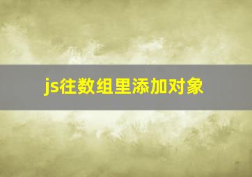 js往数组里添加对象