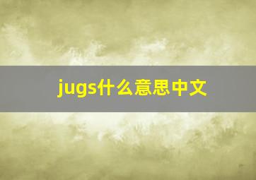 jugs什么意思中文