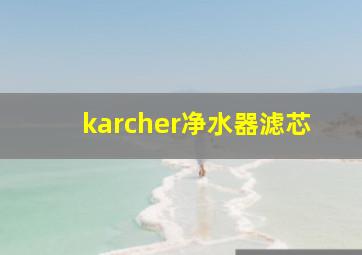 karcher净水器滤芯