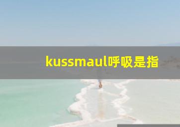 kussmaul呼吸是指