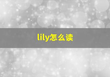 lily怎么读