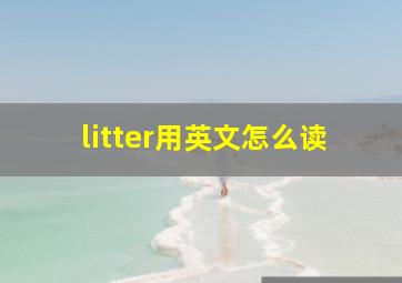 litter用英文怎么读