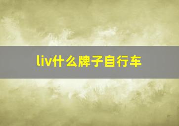 liv什么牌子自行车