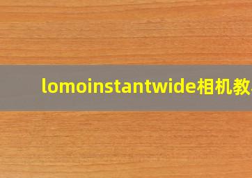 lomoinstantwide相机教程