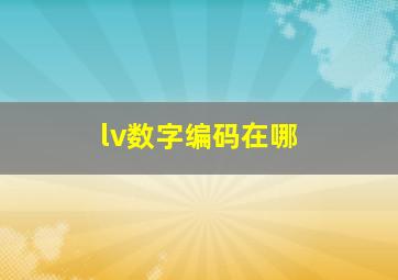 lv数字编码在哪