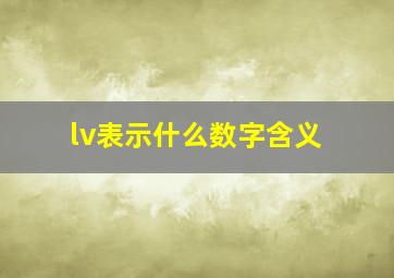 lv表示什么数字含义