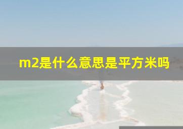 m2是什么意思是平方米吗