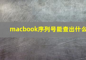 macbook序列号能查出什么