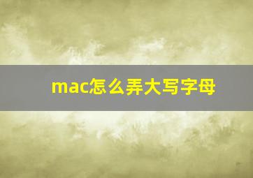 mac怎么弄大写字母