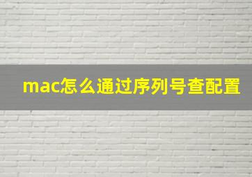 mac怎么通过序列号查配置