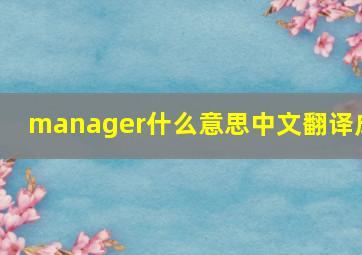 manager什么意思中文翻译成