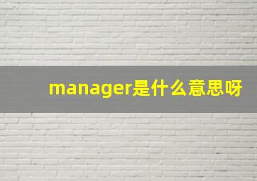 manager是什么意思呀