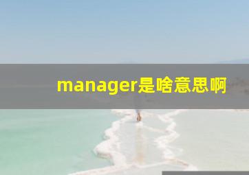 manager是啥意思啊