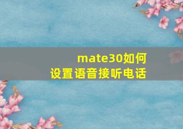 mate30如何设置语音接听电话