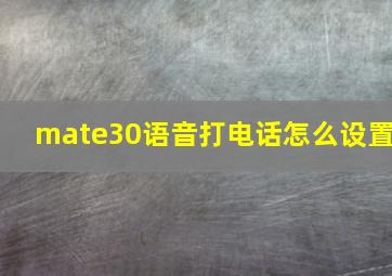 mate30语音打电话怎么设置