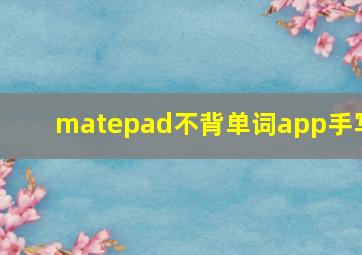 matepad不背单词app手写