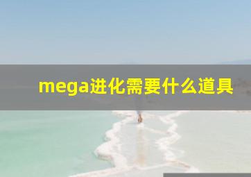 mega进化需要什么道具