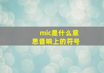 mic是什么意思音响上的符号