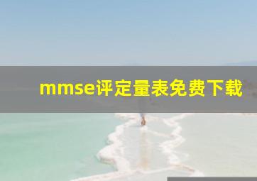 mmse评定量表免费下载