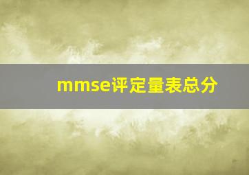 mmse评定量表总分