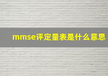 mmse评定量表是什么意思