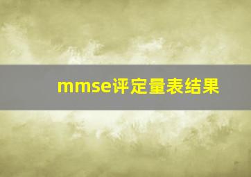 mmse评定量表结果