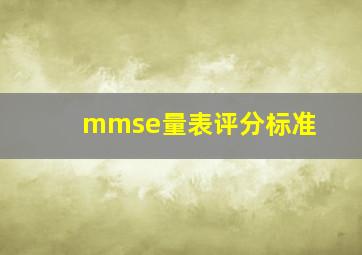 mmse量表评分标准