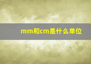 mm和cm是什么单位