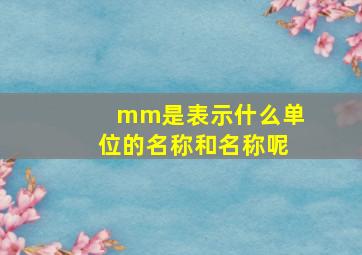 mm是表示什么单位的名称和名称呢