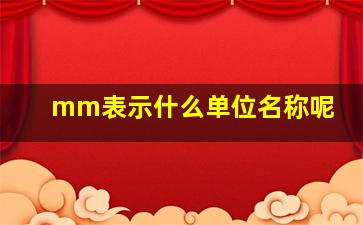 mm表示什么单位名称呢