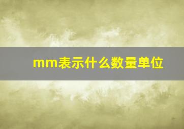 mm表示什么数量单位