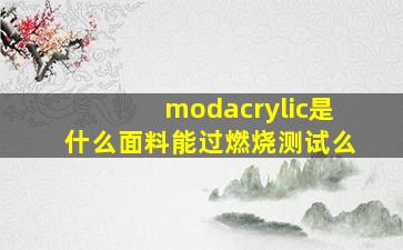 modacrylic是什么面料能过燃烧测试么